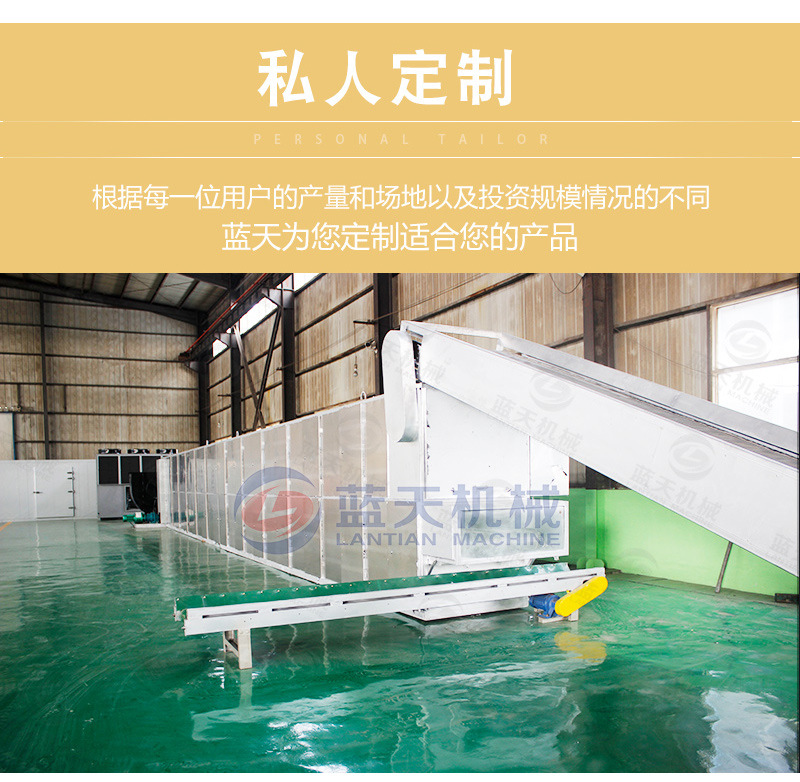 网带球炭烘干机私人定制